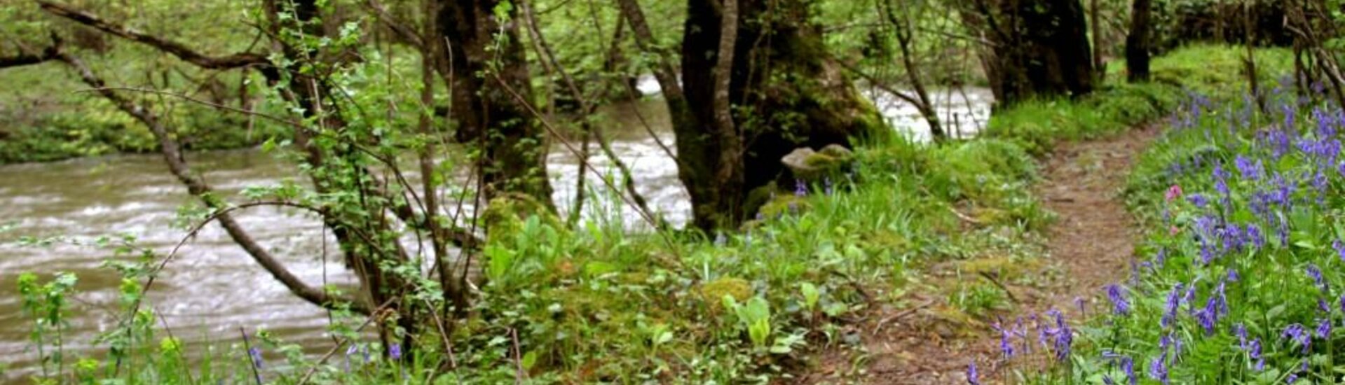 Gorges de la Voueize : à découvrir