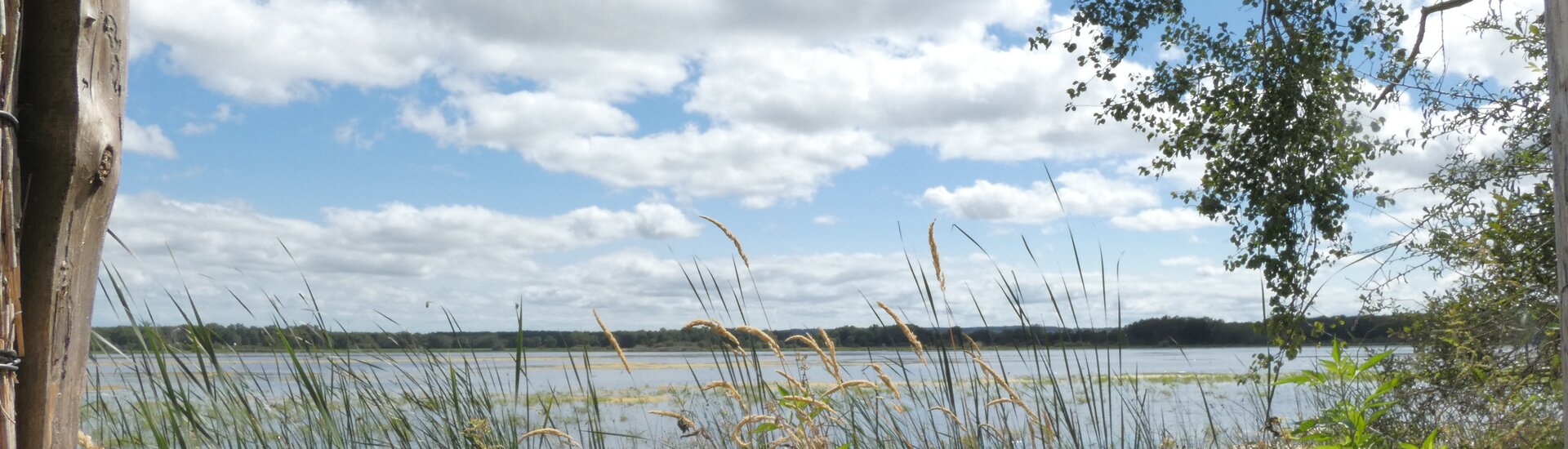 L'étang des Landes en font un des sites naturels les plus remarquables de notre région